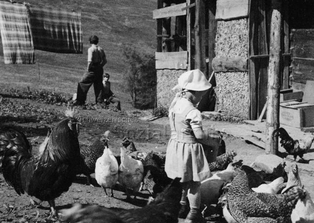 "Auf dem Bauernhof" - Kleines Mädchen beim Füttern der Hühner; um 1965