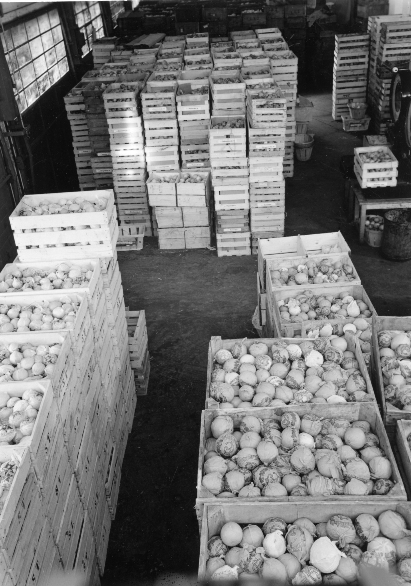 In Kisten verpacktes Gemüse / Früchte