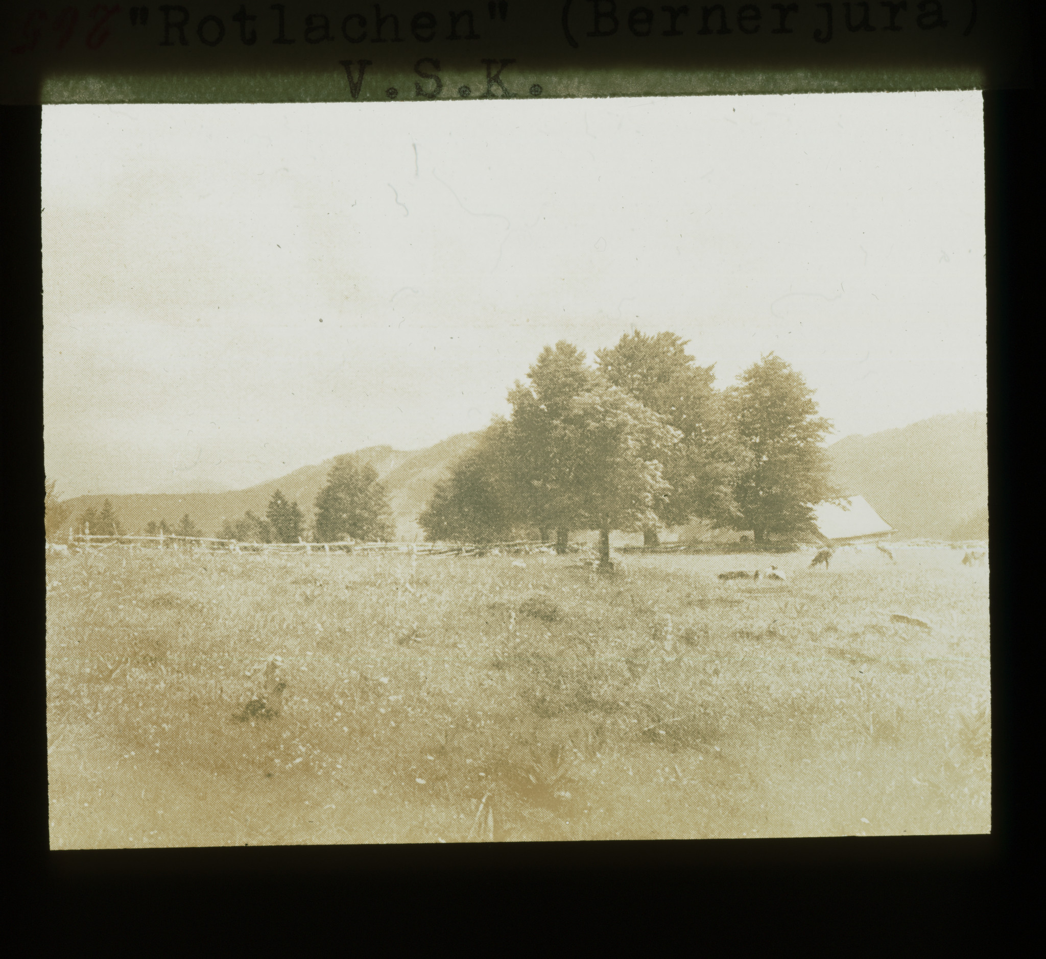 Dia: Landschaftsaufnahme, Partie von der Bergliegenschaft "Rotlachen" im Berner Jura, V.S.K. (Verband schweizerischer Konsumvereine).