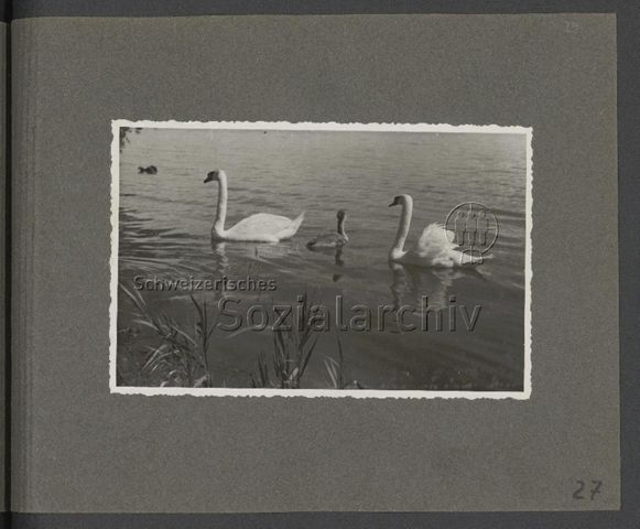 Fotoalbum "50 Jahre TVN [Touristenverein die Naturfreunde] Jubiläumstreffen 1945 in Luzern