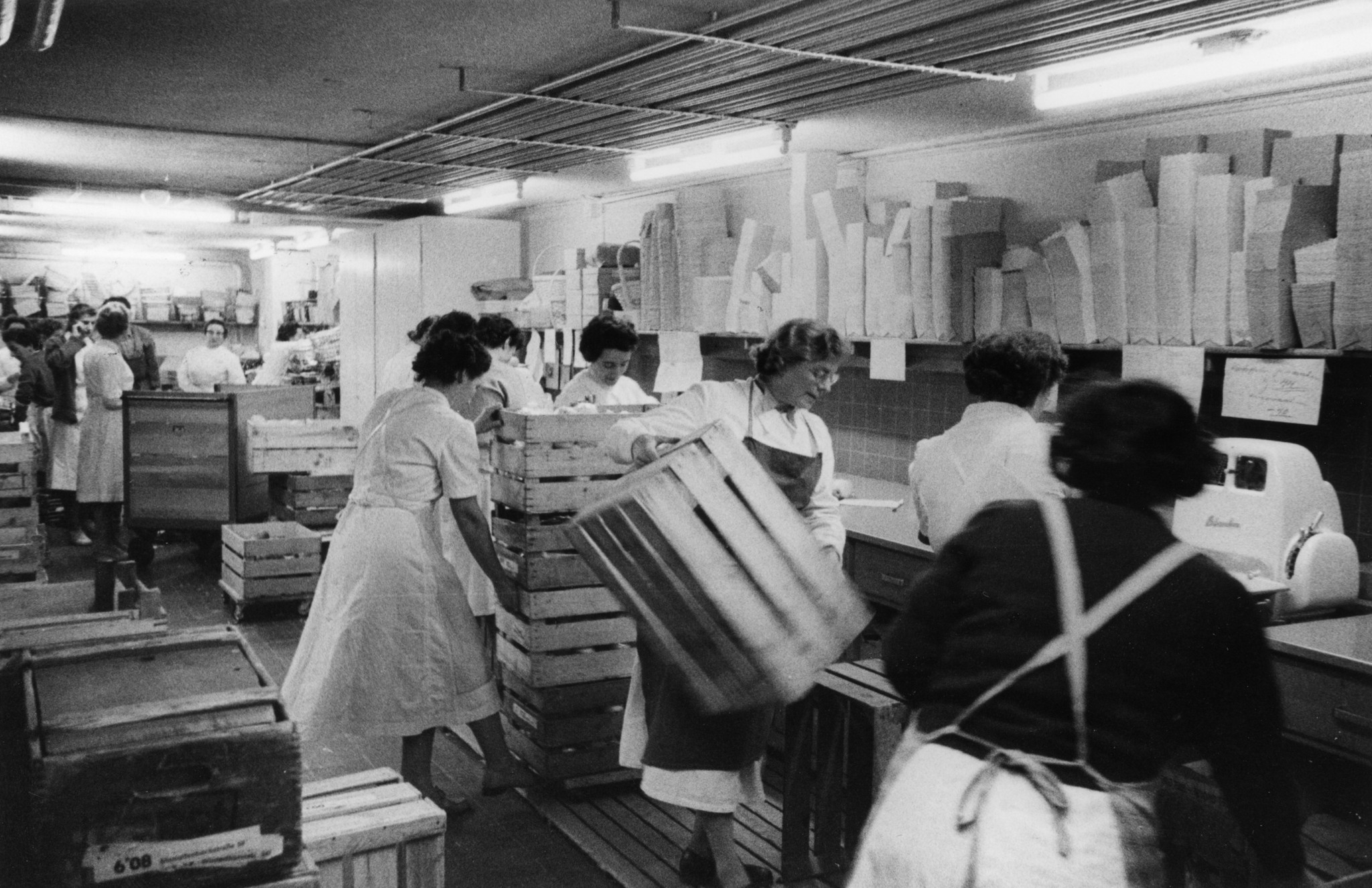 Frauen verpacken Früchte
