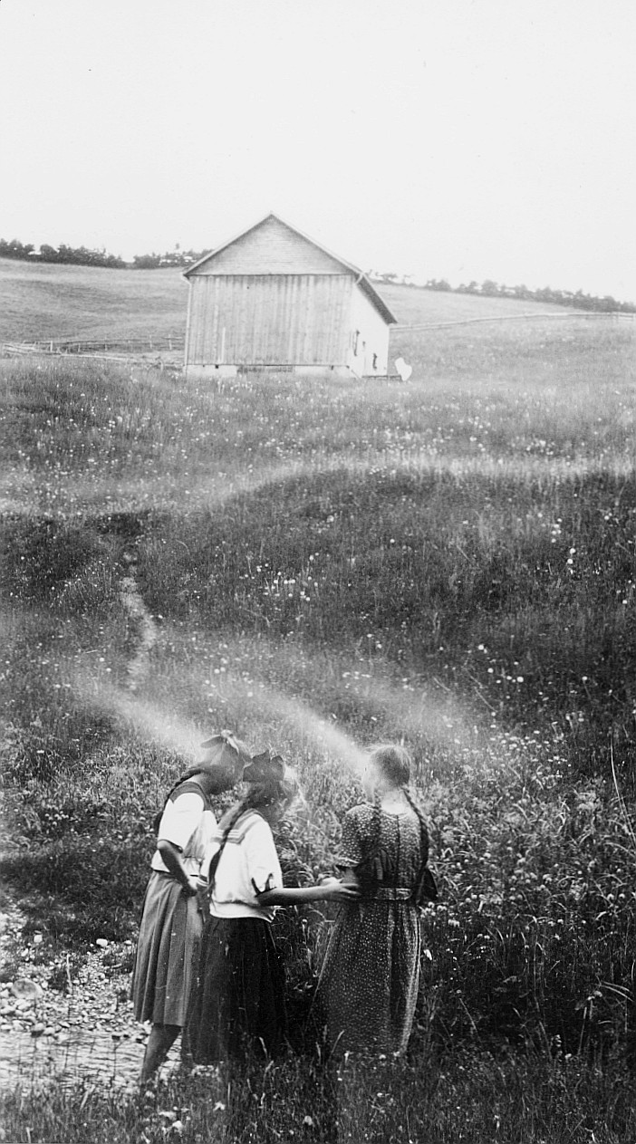 Mädchen der Wandervogelortsgruppe St. Gallen-Klösterli in den Feldern (Juni 1920)