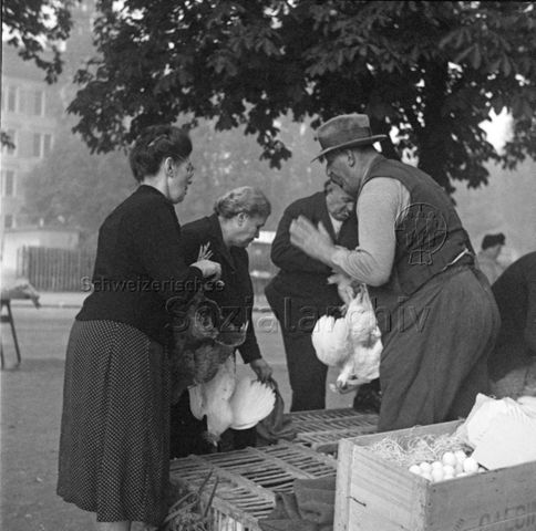 Marktszene, Geflügelverkauf, Eierverkauf, um 1960