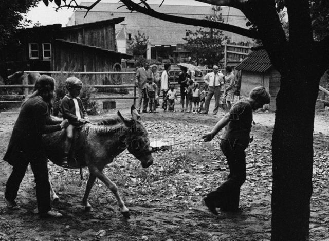 "Robifest Heuried", Zürich - Junge beim Eselreiten; 1970