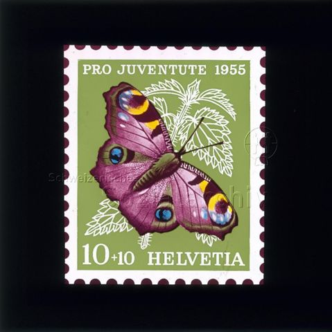 Diaserie Briefmarken; "Helvetia 10 +10, Pro Juventute 1955"; Schmetterling "Tagpfauenauge"; im Hintergrund Brennessel; 1955
