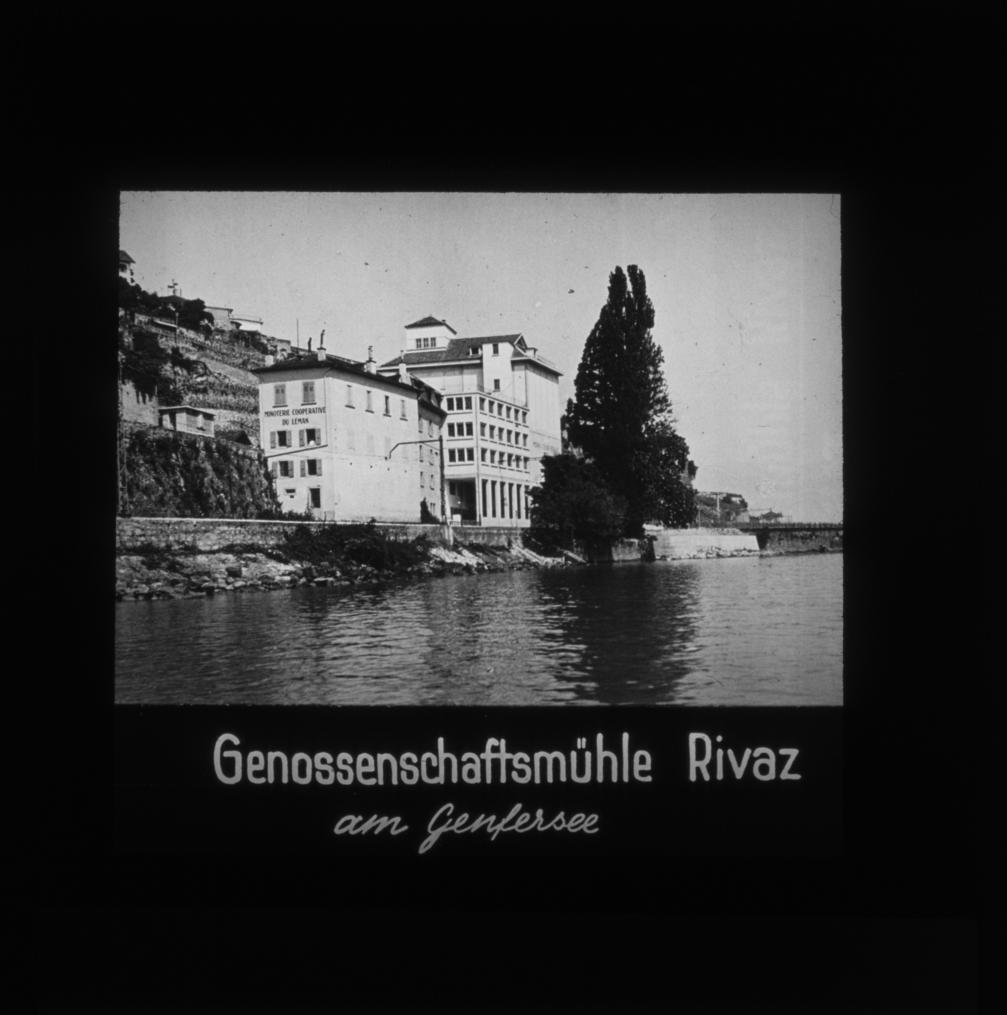 Dia: Genossenschaftsmühle Rivaz am Genfersee.