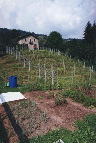 Bosco della Bella, Feriendorf für kinderreiche Familien - Ansicht der Anlage, Garten; 1997
