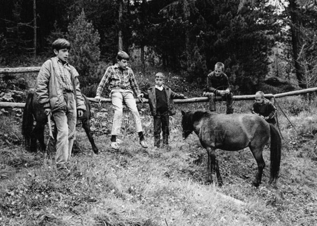 Fünf Jungen auf einer Wiese mit zwei Pferden; um 1970