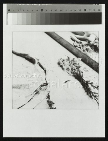 Fotografie von Francesca Woodman, "Providence" (1975/1976)