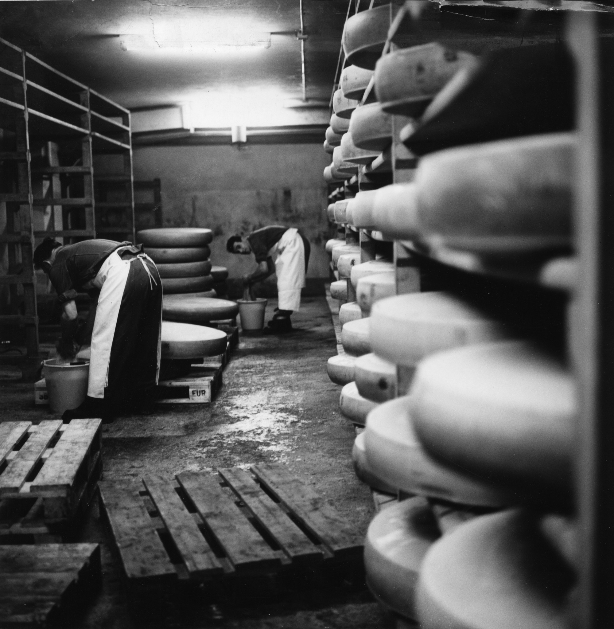 Männer beim Waschen und Wenden von Käselaiben in einem Käse-Lager