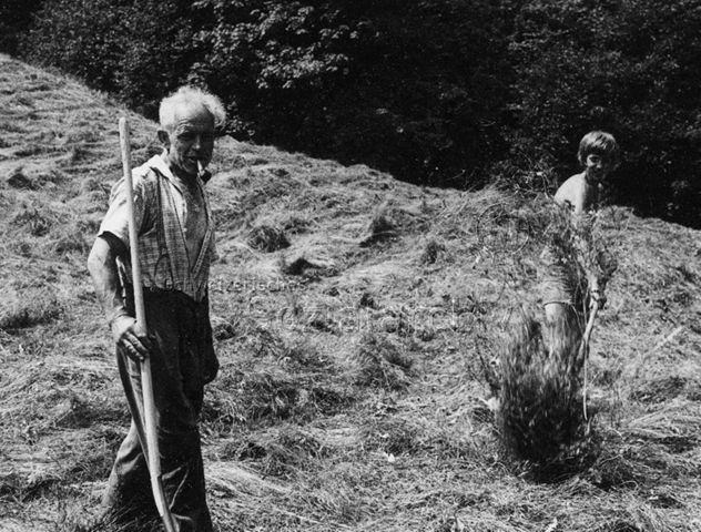 "A7 Dorflager Marbach" [Luzern oder St. Gallen] - älterer Herr und Jugendlicher beim Heuen; 1971