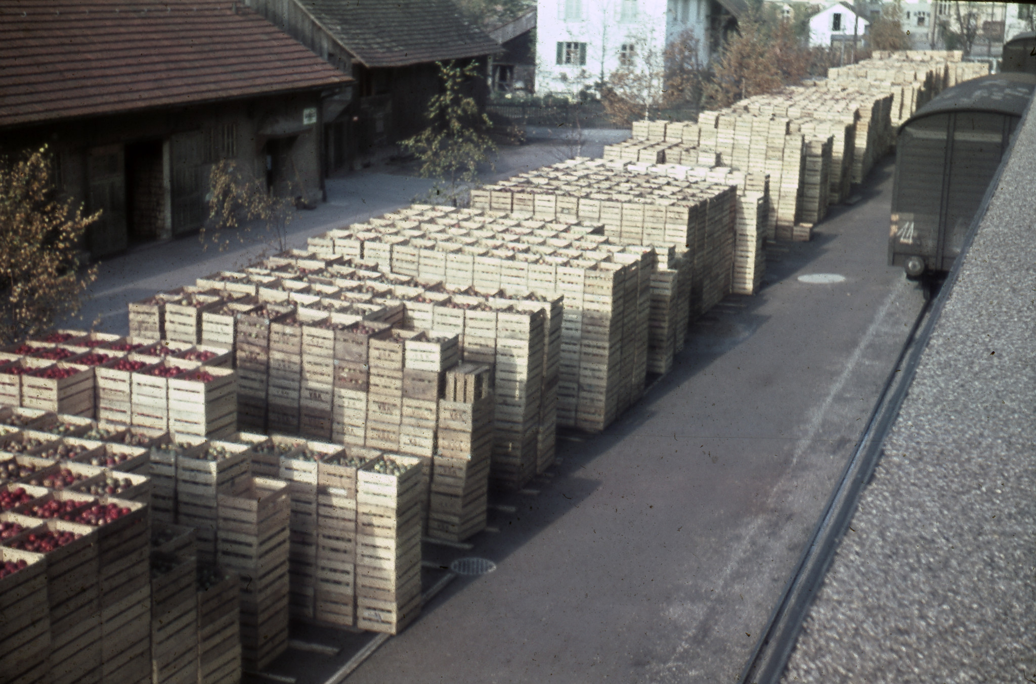 Gestapelte Holzharasse mit Äpfeln, ca. 1955