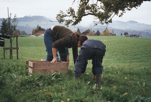 PraktikantInnenhilfe: Einsätze - Praktikantin und Kind sammeln Obst auf; 2002