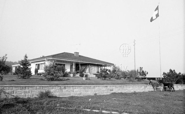 Eschenbach LU, Herbst 1971