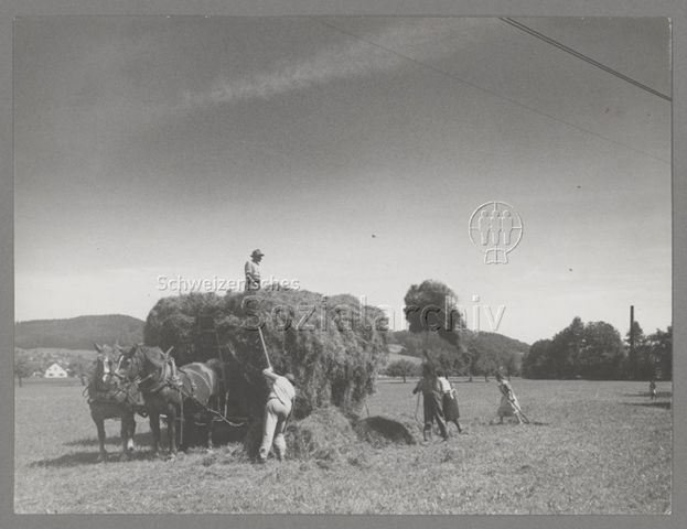 Der Landwirt