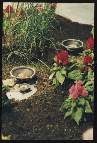 Ausstellungsansicht, Installation Boxen mit Samen als Garten von Simone Gerber