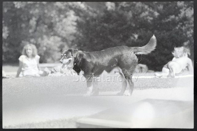 Umbau Juli 1988