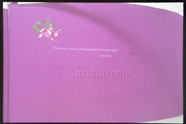 Before the flower of friendship faded, friendship faded.