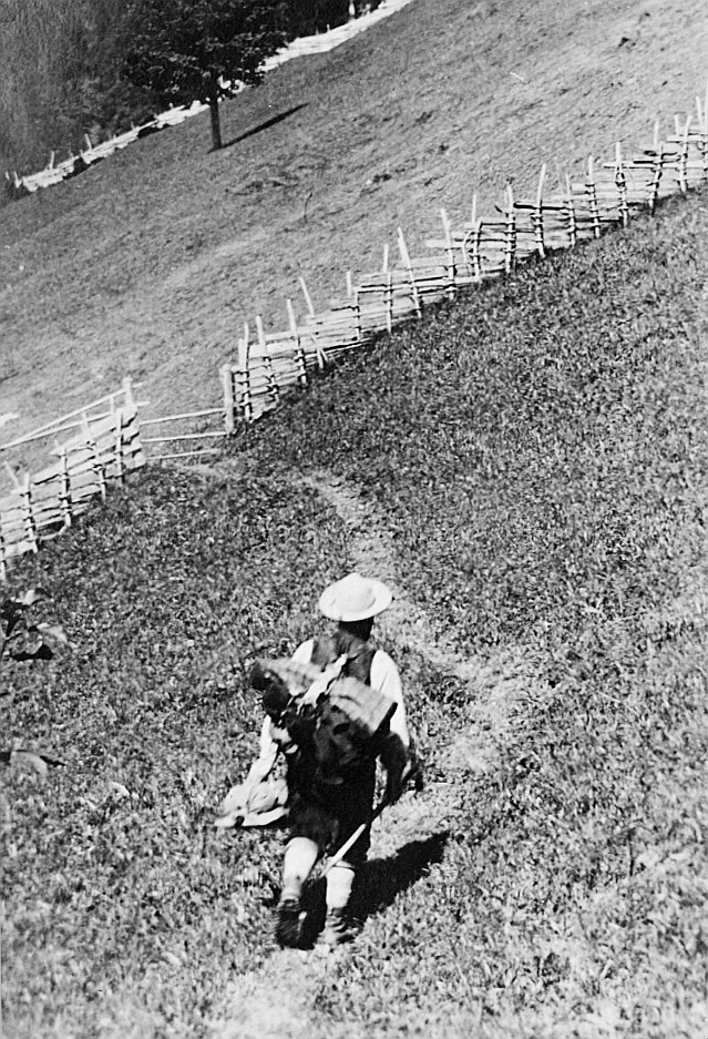 Wandervogel auf der Senggi am Niesen ob Reichenbach wandernd (1916)