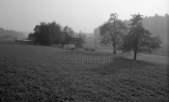Eschenbach LU, Herbst 1971